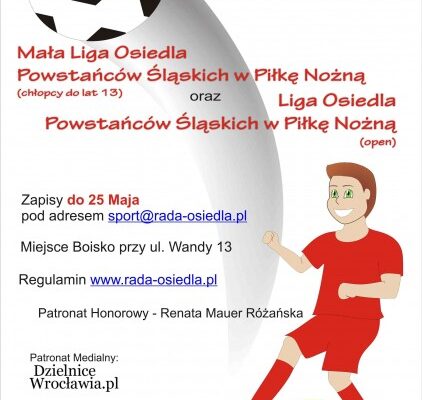 Mała Liga Piłki Nożnej 2011